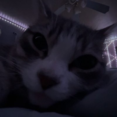 Derpydog124's profile picture. I love Roblox sm