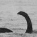 Loch Ness:They Created A Monster (@LochNess_TCAM) Twitter profile photo