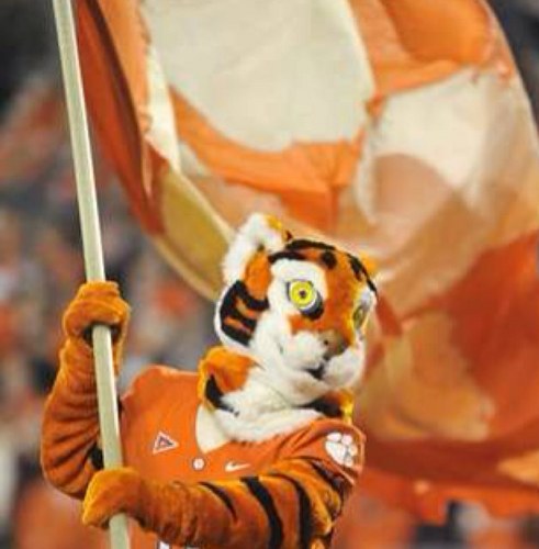 ascooter75's profile picture. 