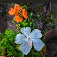 मृगतृष्णा (@hmt78486487) 's Twitter Profile Photo मृगतृष्णा (@hmt78486487) 's Twitter Profile Photo