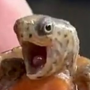 waiNights's profile picture. 