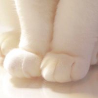 롸 (@bemyluvwithu) 's Twitter Profile Photo 롸 (@bemyluvwithu) 's Twitter Profile Photo