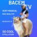 😾 Cece Bacem & ₘₑᵢₘₑᵢ (@inibacem) Twitter profile photo 😾 Cece Bacem & ₘₑᵢₘₑᵢ (@inibacem) Twitter profile photo