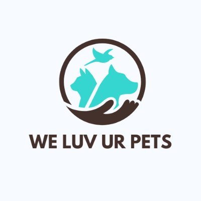 We are here to provide inspiration, motivation, and information about today's top trends in Pet Supplies. Visit our website today to find all of your needs!
