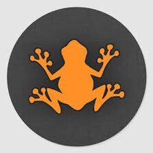 If I am a frog, I will have to be an orange one because you just can’t keep a good frog down. Time for change #Gatvol #Twitterzoo is real! 🐸 vs 🤡 🇿🇦