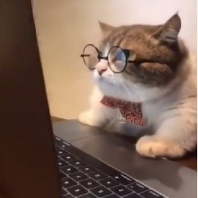 ayyas_siyam's profile picture. 