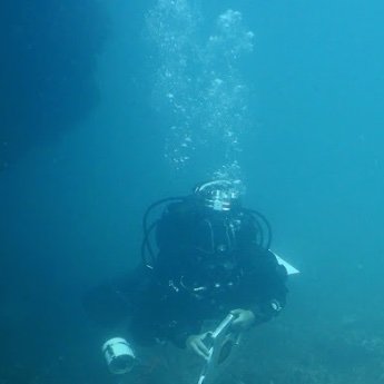 Kelp forests| Scientific diver | PhD student |Temperate reefs | Ecological function | Climate change | Ecosystem restoration | Artificial reefs | @CiimarUp