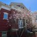 Franklin College Pulliam School of Journalism (@fcpulliamschool) Twitter profile photo Franklin College Pulliam School of Journalism (@fcpulliamschool) Twitter profile photo