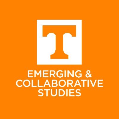 CECS is a dynamic, future-driven college that launches and oversees multidisciplinary courses, programs, and degrees on emerging topics.