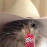 hannah85924946's profile picture. nascar fan