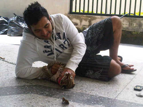 AngelKoKe's profile picture. 