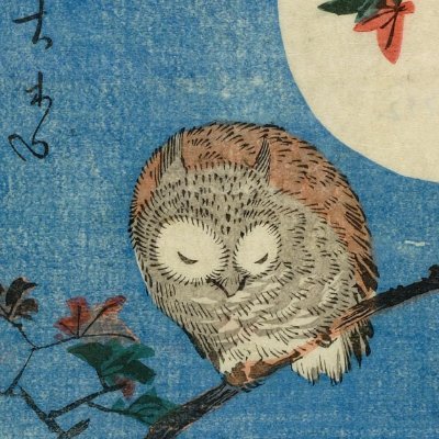 Sleeping_owlet_ Profile Picture