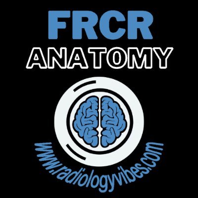 Solely for educational and academic purposes, with a specific focus on preparation, for the FRCR Part 1 anatomy examination within the United Kingdom.