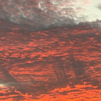 CaitlynSexton5's profile picture. 22 she/her