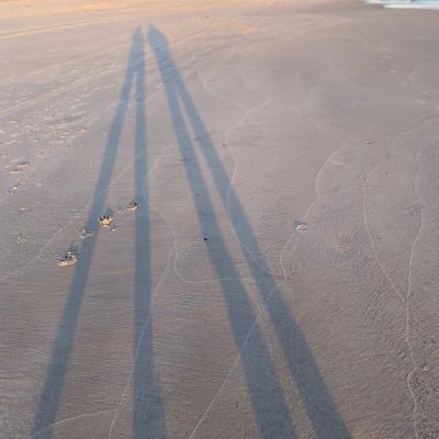 loo_ifs's profile picture. 