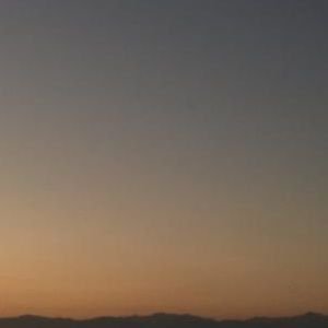 geceperiisiis's profile picture. 