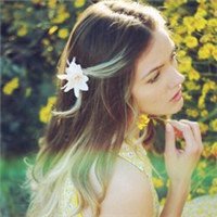 Rose Pritt (@rosepritt183747) 's Twitter Profile
