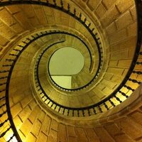 ALEXANDRE R.P. (@7forestalex) 's Twitter Profile