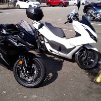 PCX相棒(@PCX125CBR250RR) 's Twitter Profile Photo