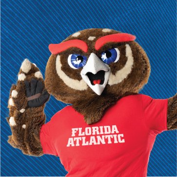 The Official Twitter of @FloridaAtlantic University Merchandising and Apparel.
👕 Tag us in your #FAUGear