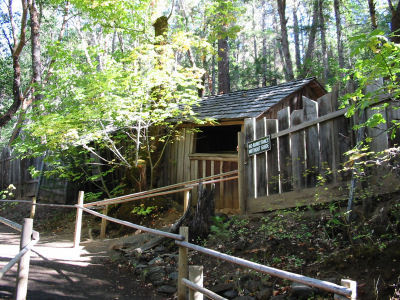 The Oregon Vortex