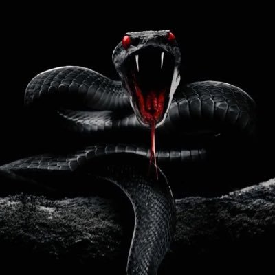 ItsYungSerpent Profile Picture