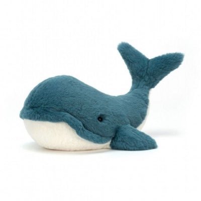 cetaceanism Profile Picture