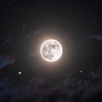 Jihad of Pen (@14thcentury) 's Twitter Profile
