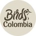 Birds Colombia (@BirdsColombia) Twitter profile photo