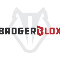 BadgerBloX(@BadgerBloX) 's Twitter Profile Photo