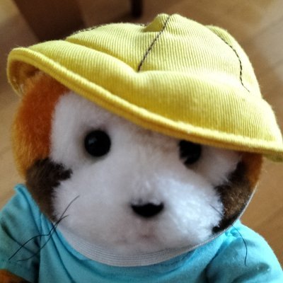 ラスカルが好きすぎてつらい
同じアカウント名でインスタグラムメインに投稿しているミャ
コレクターではなくラスカルLover