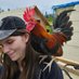 Bird Ninja 🎨🖌️🐔 (@birdninjaart) Twitter profile photo Bird Ninja 🎨🖌️🐔 (@birdninjaart) Twitter profile photo