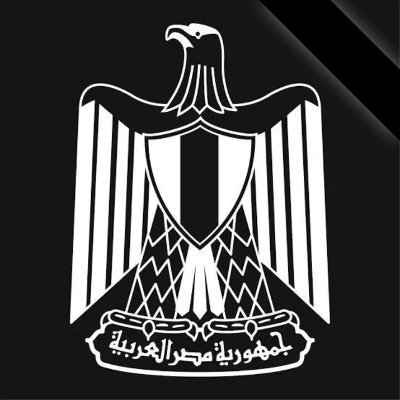 alisaadhan49161's profile picture. 