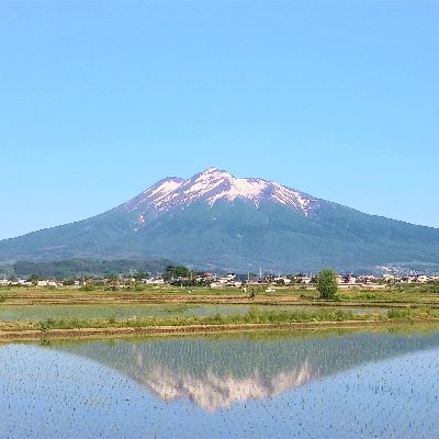 1970年生まれ
弘前出身 → 黒石在住
黒石から弘前に通勤
りんご関係の仕事だけどりんご生産者ではない
ラーメン大好き