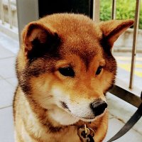 Pablo D π¦πΊ πΊπ¦ (@pauldebruni) 's Twitter Profile