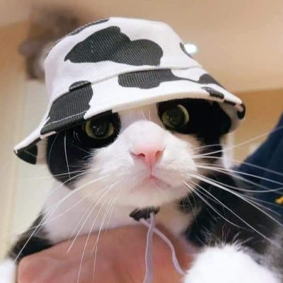 surfacekun's profile picture. いくぞ！MURASH🔥