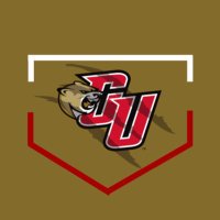 Caldwell Baseball (@caldwellubb) 's Twitter Profile
