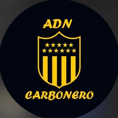 SARAVIANISTA DEL CACHETE | ESTA LOCURA DE AMARTE ME IMPIDE SER NORMAL 💛🖤| 