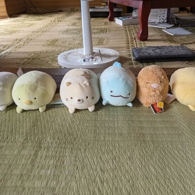 休みの日は
ドライブしてニライビーチや
カフェ巡りしています
ポケモンがすきで
地元アイドル応援しています
琉球IDOLやBOKU✕MANIA応援しています
そしてクレープや食べること
甘い物(ケーキなど)がすきです
猫は今飼ってないですが猫大好きです