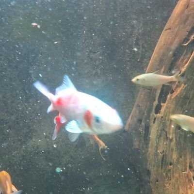 vaping789's profile picture. 