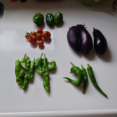 de_ying51931's profile picture. 