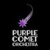 Purple Comet Orchestra (@purplecometorch) Twitter profile photo Purple Comet Orchestra (@purplecometorch) Twitter profile photo