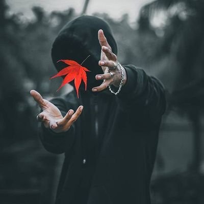 kori60349's profile picture. 