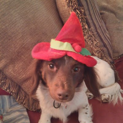 chasmaniac47986's profile picture. 