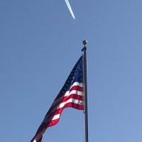 David Porter (@davidpo69470059) 's Twitter Profile