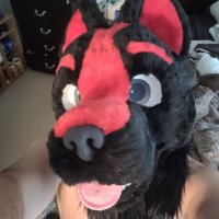 MIDN1GHT_WOLF69(@JoeySchelz) 's Twitter Profile Photo