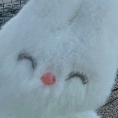 わわわわさんのプロフィール画像
