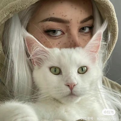 kk_ss16's profile picture. 退