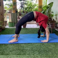 Yoga Wellness(@YogaWellnessAnu) 's Twitter Profileg