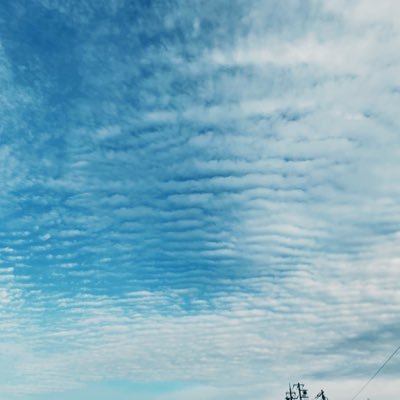 kotokoto6570's profile picture. 